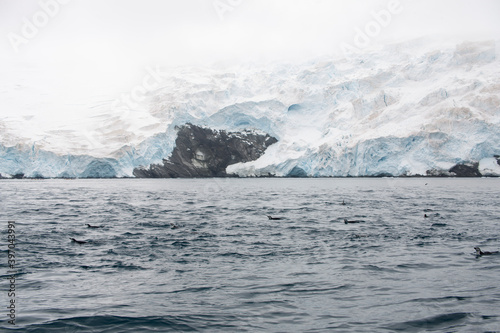 South Orkney landscape with icebergs on a cloudy winter day