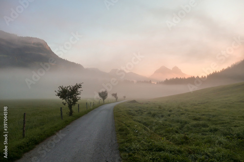 Early morning haze in the Alps. There is a narrow road leading to high mountains through a meadow. The high Alpine peaks are shrouded with light fog. The sky is turning pink. Daybreak. Calmness © Chris