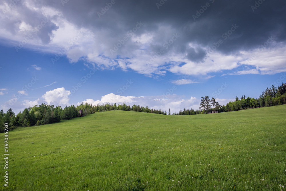 Green meadow in Klastorisko in Slovak Paradise National Park in Slovakia