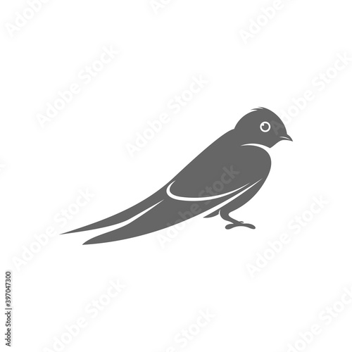 Swallow logo vector template, Creative swallow logo design concepts, icon symbol, illustration © shuttersport
