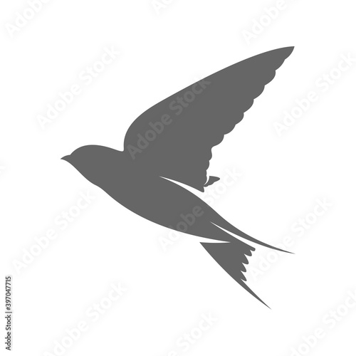 Swallow logo vector template  Creative swallow logo design concepts  icon symbol  illustration