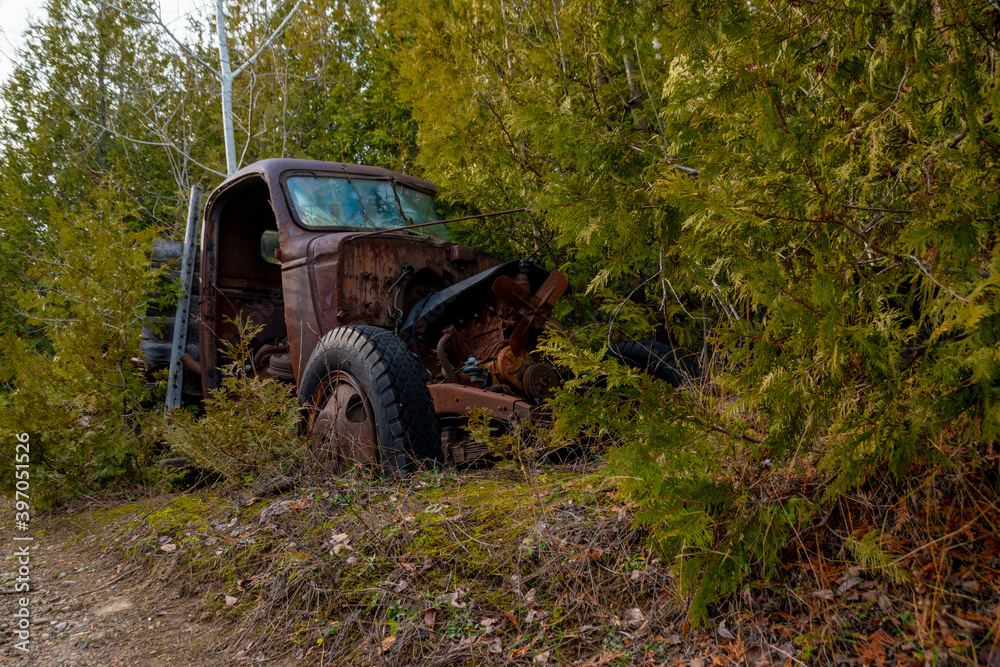 An old truck sits rusting and falling apart in the woods on an auto wrecker's yard near Rockwood, Ontario. An old truck sits rusting and falling apart in the woods on an auto wrecker's yard near Rockwood, Ontario.