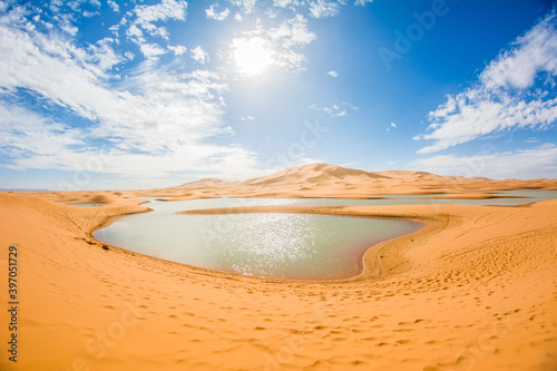 sand dunes in the desert