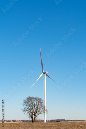 Solitary wind turbine contrasting against a solitary tree on a cold Illinois winter morning.