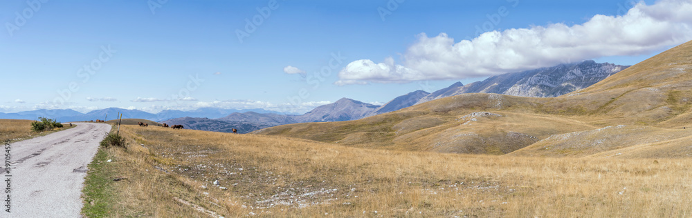  horses herd on barren slopes and road bending downhill with Gran Sasso ridge in background, near Filetto lake, Abruzzo, Italy