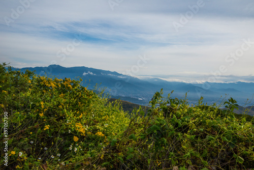 view of the mountains