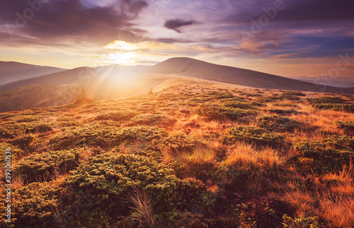 Carpathian mountains