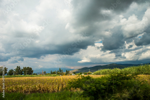 field and blue sky