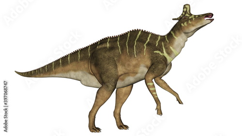 Lambeosaurus dinosaur eating head up isolated in white background - 3D render
