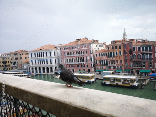 Venedig Italien Altstadt und Sehenswürdigkeiten photo