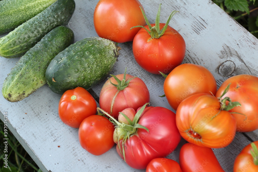 tomatoes and cucumbers tomatoes and cucumbers