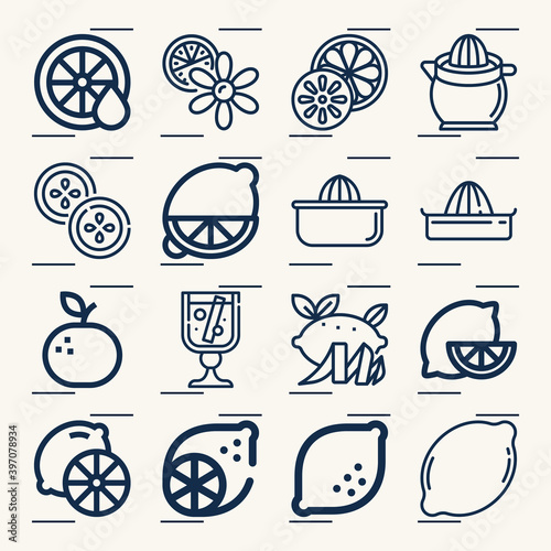 Simple set of citrus related lineal icons.