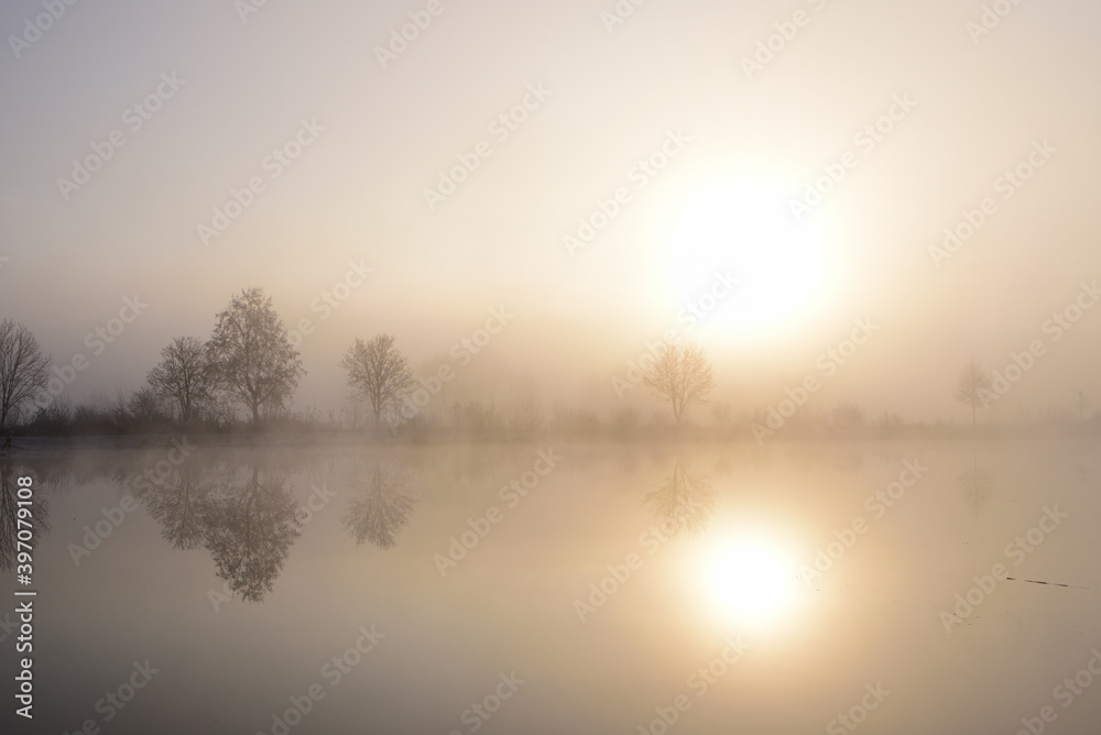 Sunrise at the lake in autumn with morning mist and bare trees in the background