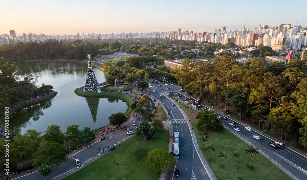 Fototapeta premium Sao Paulo city and christmas tree in Ibirapuera Park.
