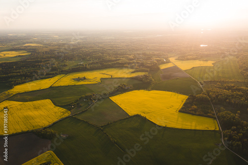 Brassica napus rapsis view look from above drone shot aerial rapeseed field yellow patches fields sunset sky Latvia