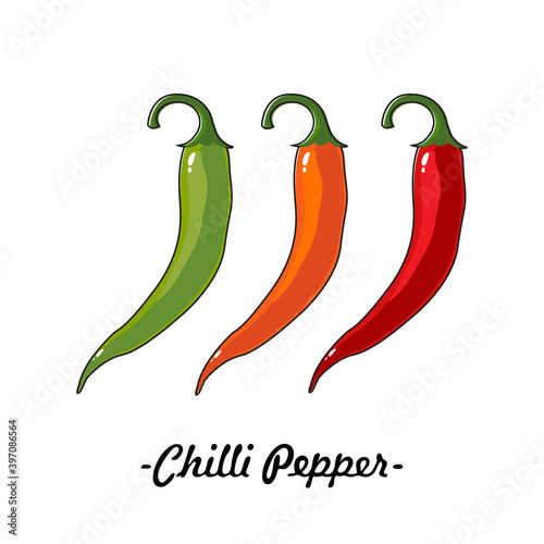 Three chili peppers of different colors on a white background. Vector, illustration