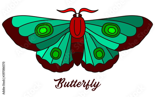 A pretty butterfly of green and brown colors