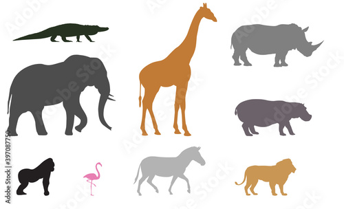 Fototapeta Naklejka Na Ścianę i Meble -  African Animal Silhouettes | Isolated Safari Animals Drawn to Scale | Exotic Wildlife | Vector Zoo Animal Icons | Alligator, Elephant, Giraffe, Rhino, Hippo, Lion, Flamingo, Gorilla and Zebra Outlines