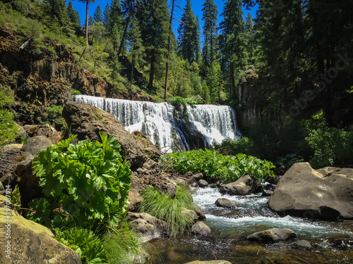 Scenic view of McCloud River Falls in Mt. Shasta region  California  USA