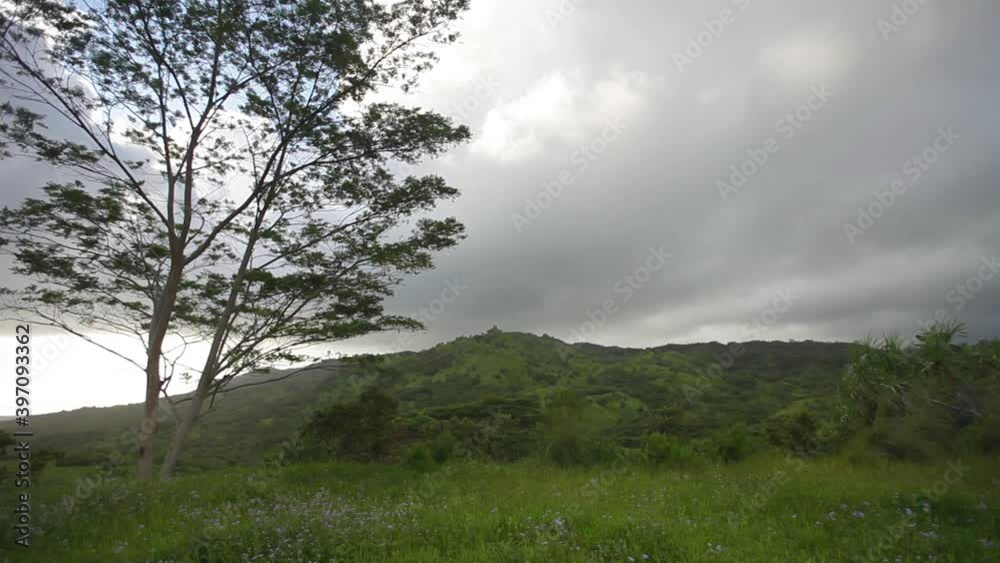 Wide, green landscape in Kauai Wide, green landscape in Kauai