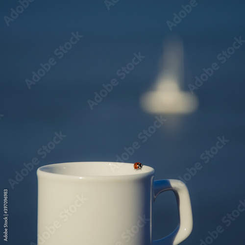 Little ladybug sitting ont he cup of coffee at sea photo