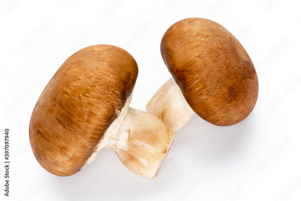 Fresh champignon mushrooms isolated on white. Fresh champignon mushrooms isolated on white.