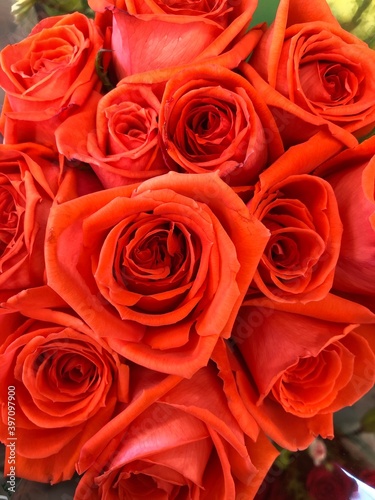 bouquet of red roses