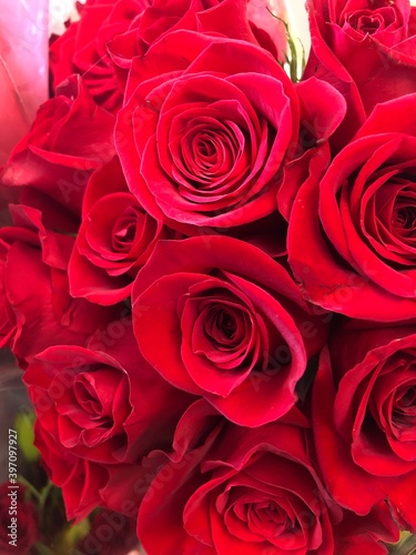 Bunch of red roses