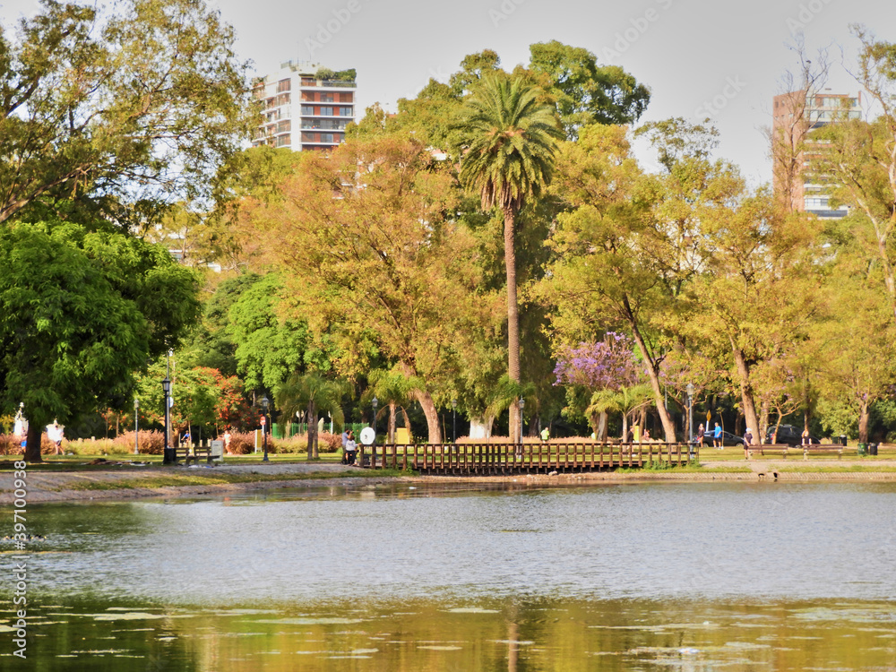 Fototapeta premium lago con el fondo arboles en palermo