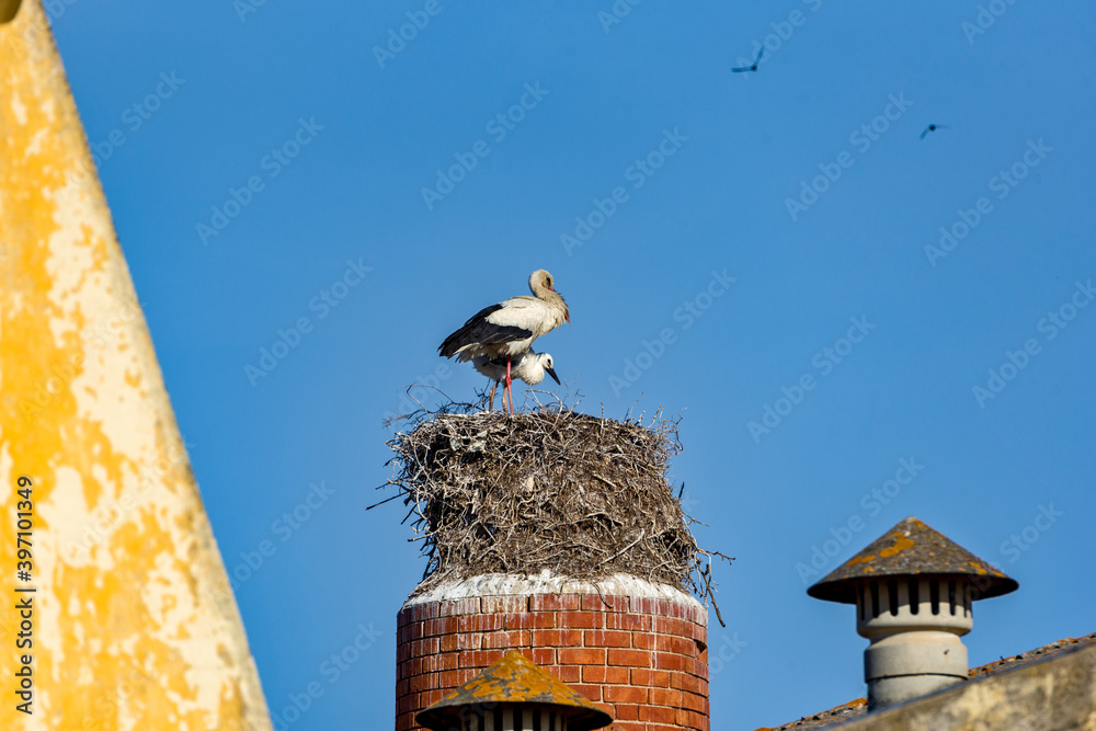 stork and nest on the chimney of an abandoned factory in Olhao, Algarve, Portugal stork and nest on the chimney of an abandoned factory in Olhao, Algarve, Portugal