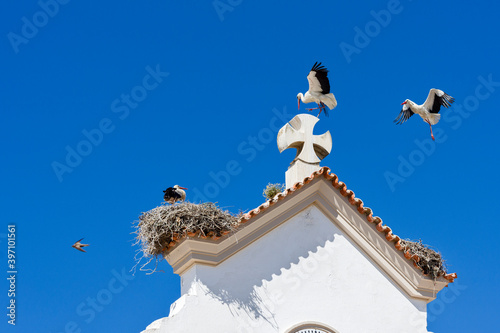 nest storks and storks on the roof of Mother Church of Nossa Senhora do Rosário in Olhao, Algarve, Portugal