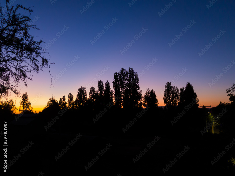 Fototapeta premium Atardecer con silueta de árboles
