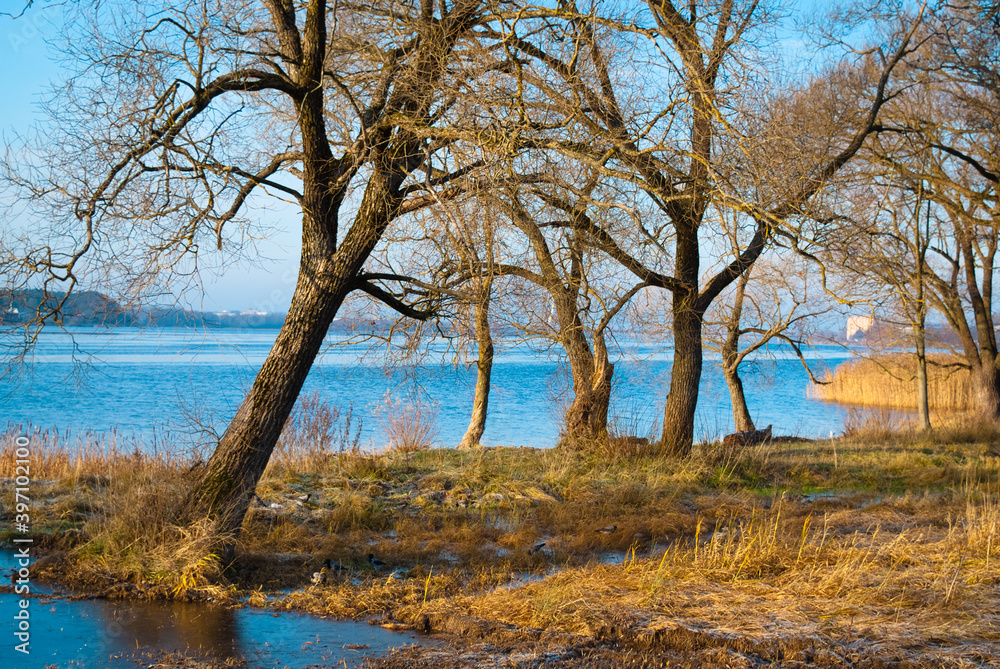 Riga, Latvia, Kengarags. trees near the Dvina river