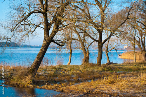Riga, Latvia, Kengarags. trees near the Dvina river © fotofotofoto