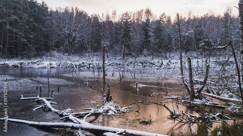 Zamarznięte jezioro w środku lasu zimą