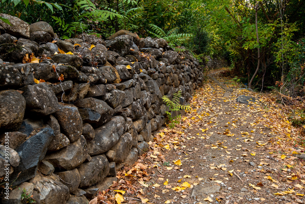 Autumn landscape hiking walking path in fall season
