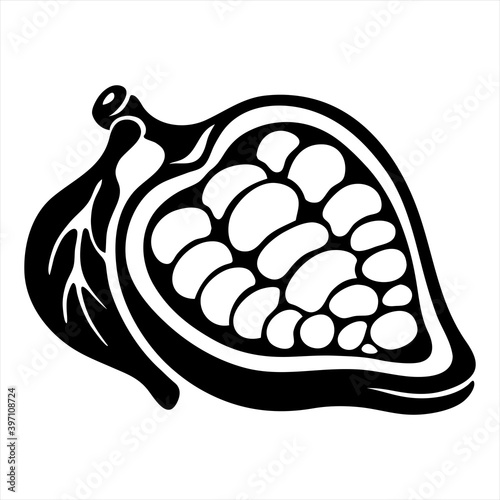 Vector black and white illustration in hand-drawn style: cocoa bean