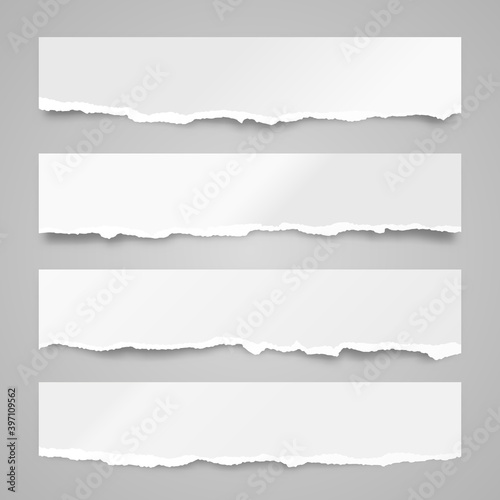 Ripped paper strips. Realistic crumpled paper scraps with torn edges. Shreds of notebook pages. Vector illustration.