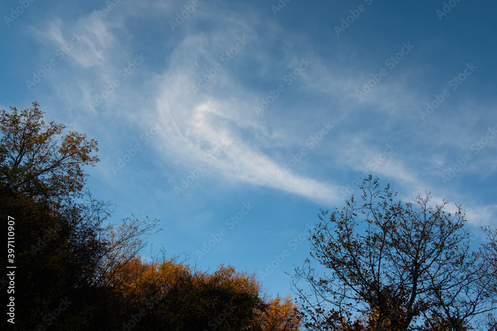 Clouds and trees with blue sky - Lyon Mont Thou Clouds and trees with blue sky - Lyon Mont Thou
