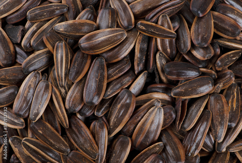organic sunflower seed for background uses organic sunflower seed for background uses
