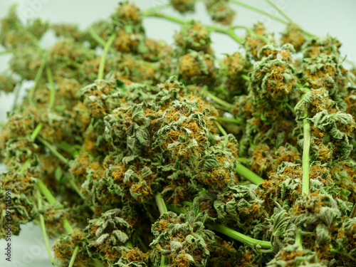 Cannabis buds on stem, marijuana, weed