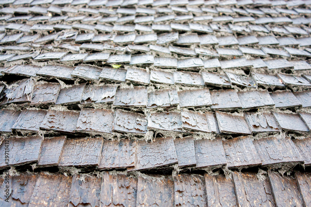 A fragment of the ecological cover of the old roof. Roughly crafted natural wood stitches arranged in rows. Cracks and mold on the surface of the boards. Perspective side view.