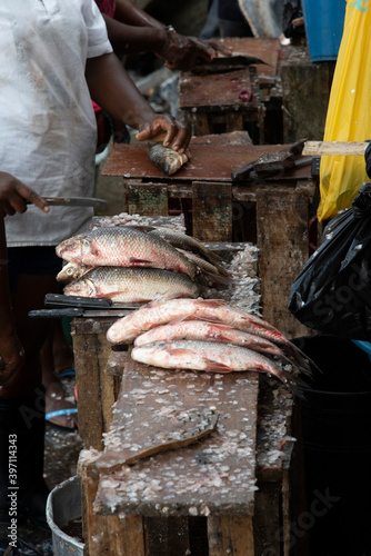 Preparing fish to sell in Chocó, Quibdó, Colombia

 photo