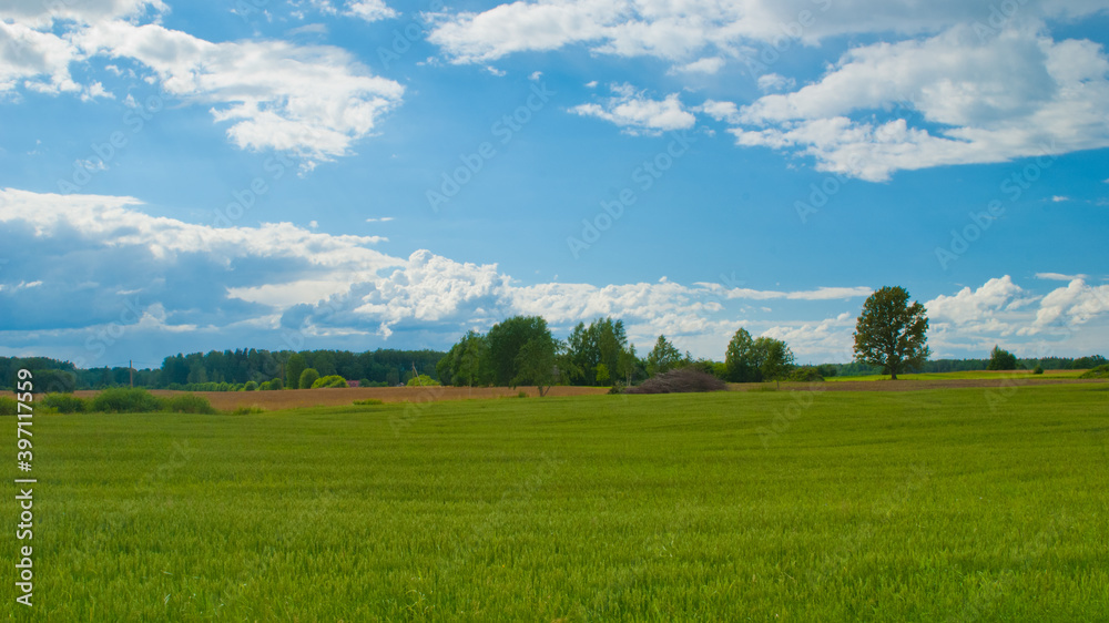 green field against blue sky