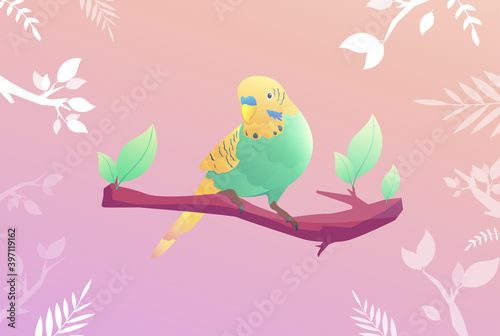 A budgie sits on a monstera branch with background vector illustration