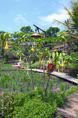 Floating market in Lembang, Bandung, West Java, Indonesia. photo