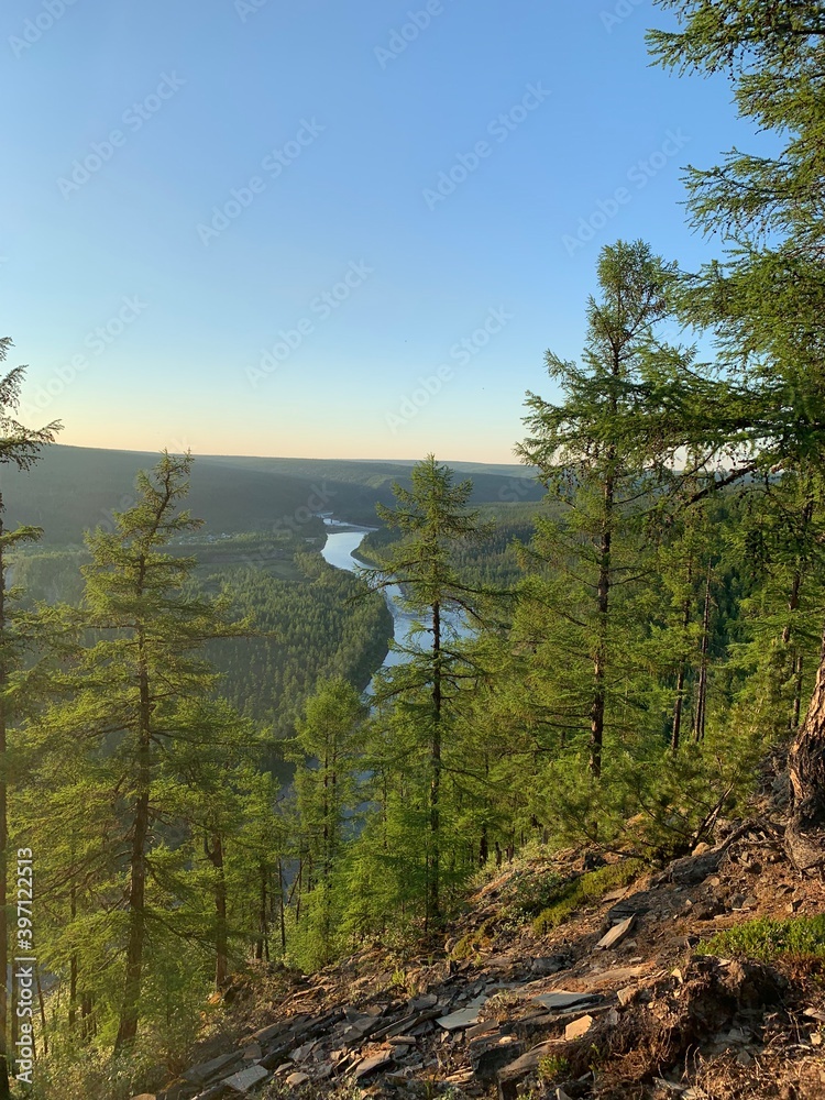 forest and lake