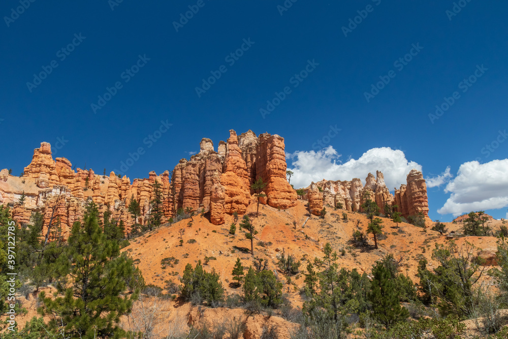 Fototapeta premium Mossy Cave Trail, Utah, USA