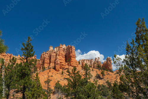 Mossy Cave Trail, Utah, USA