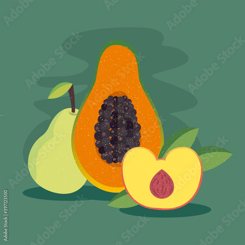 papaya and peach fruit icon vector design